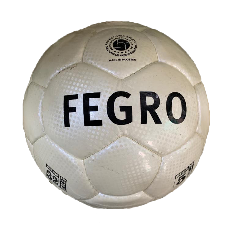 Fegro Trainingsball